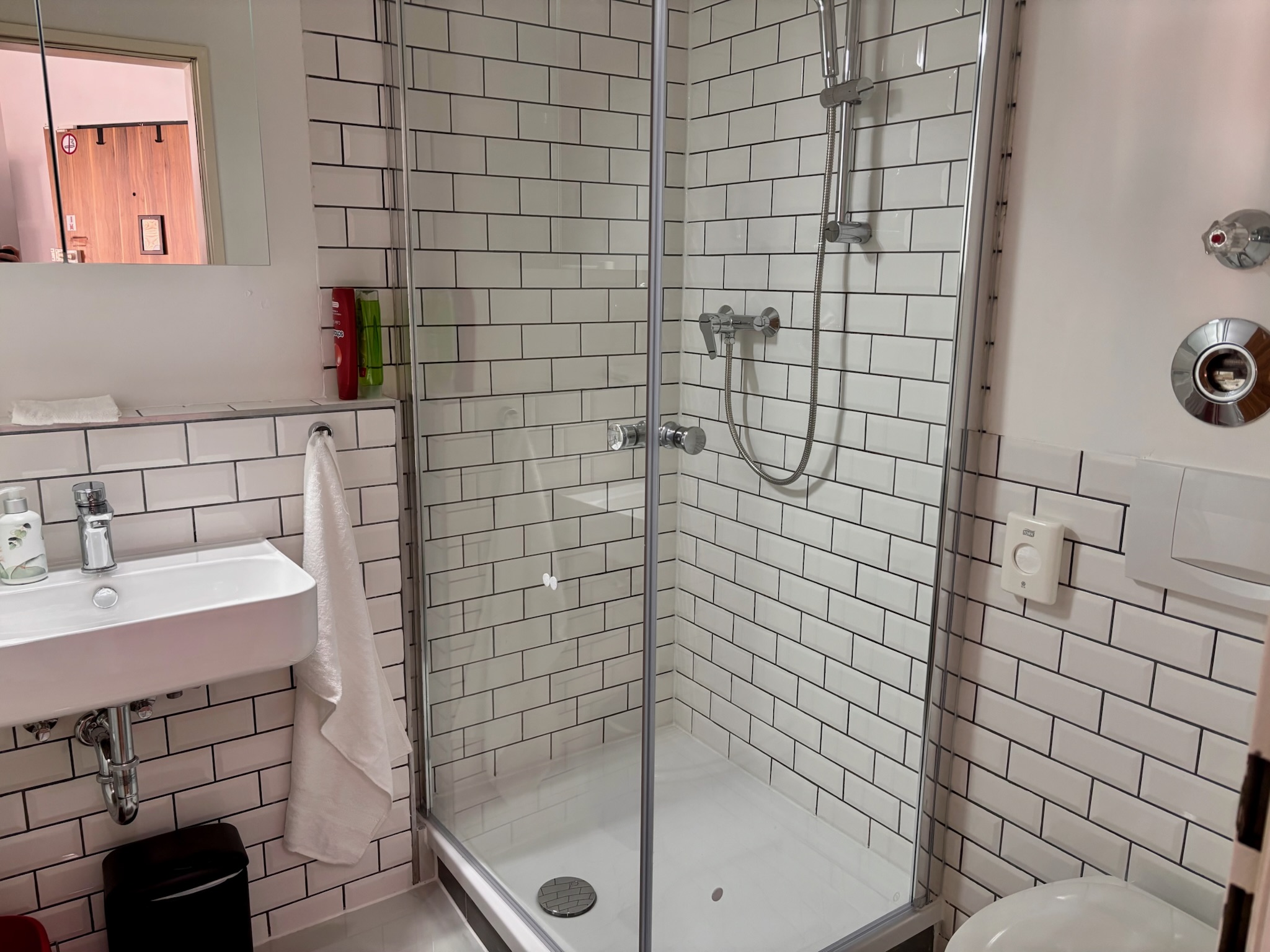 Grand Studio shower with rainfall showerhead