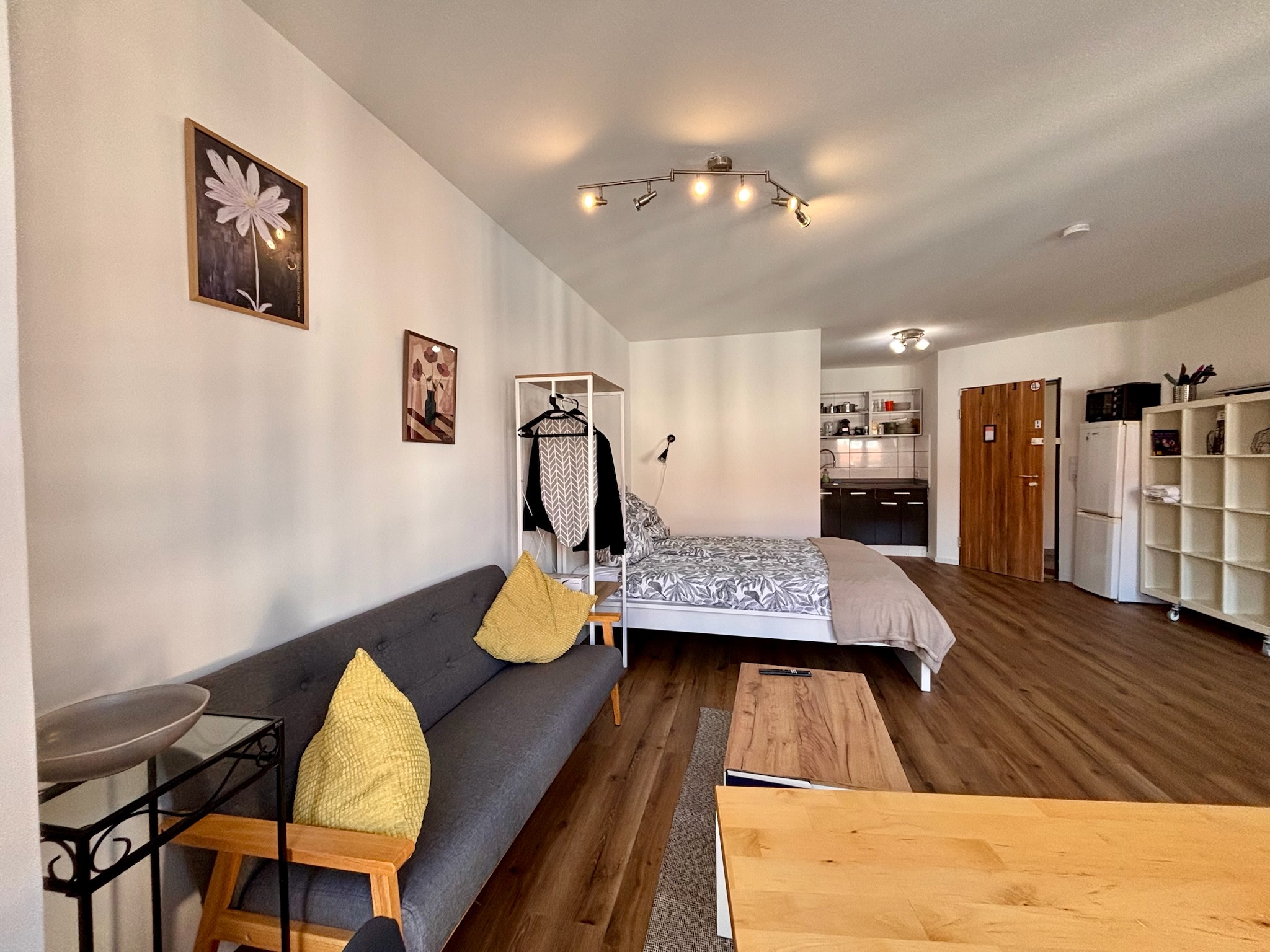 Grand Studio spacious interior with full room view